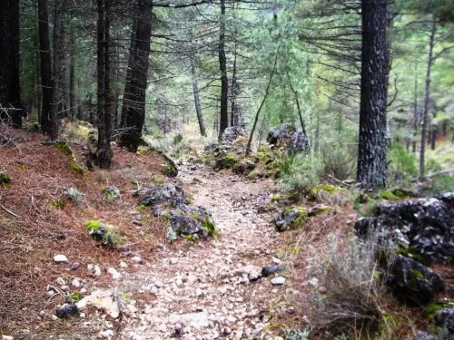 Caminos-herradura-Nerpio