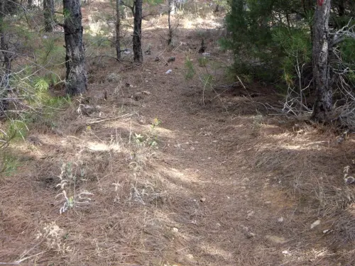 Caminos-herradura-Paterna-Madera