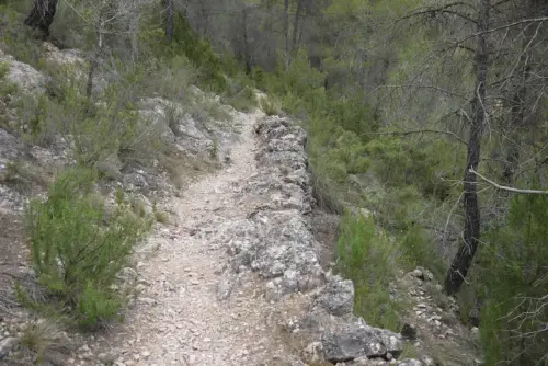 Caminos-herradura-Paterna-MaderaLos-Tajones