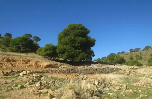 Caminos-herradura-Tobarra2