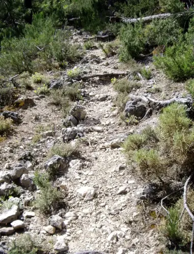 Caminos-herradura-Villaverde-Guadalimar-Ca-de-Riopar