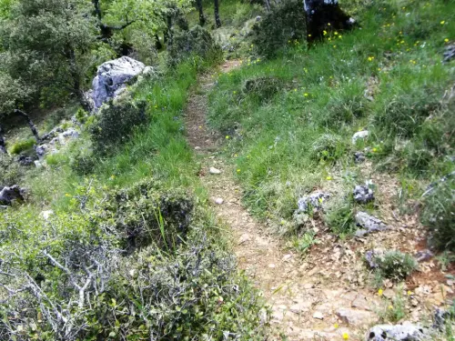 Caminos-herradura-Yeste-Cuesta-de-las-Peladillas