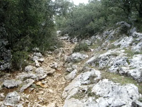 Caminos-herradura-Yeste-Por-el-Calar-de-la-Sima