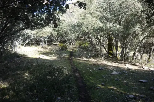 Caminos-herradura-Yeste-Por-el-Calar-de-la-Sima2