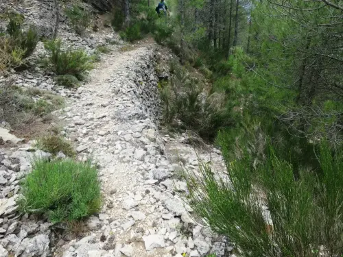 Caminos-herradura-Yeste-Por-el-Calar-de-la-Sima4