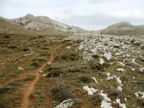 Caminos-herradura-Yeste-de-Los-Tornajos-Yegueros