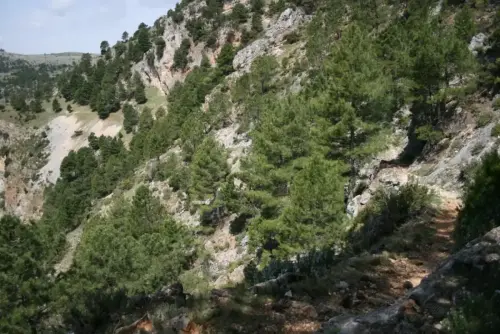 Caminos-herradura-Yeste-de-Siles2