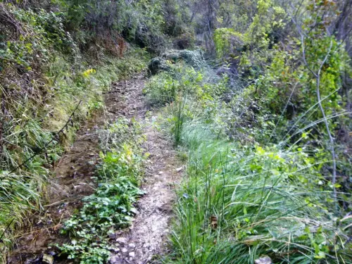 Caminos-herradura-Yeste-de-la-Nogurera-Tumba