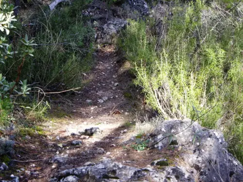 Caminos-herradura-Yeste-de-la-Pena-Palomera