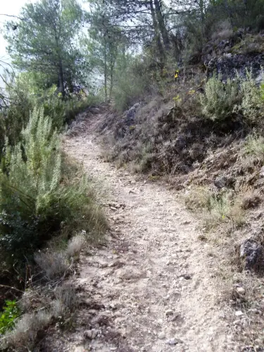 Caminos-herradura-Yeste-de-la-Pradomira