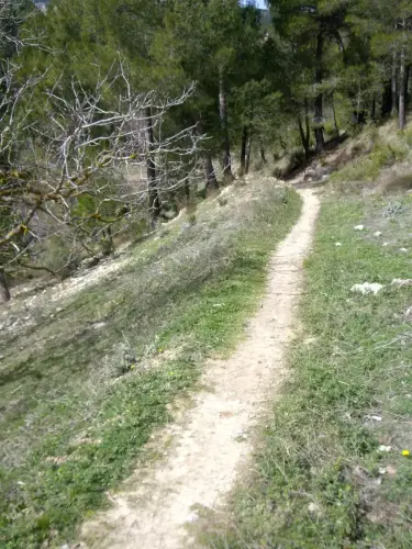 Caminos-herradura-Yeste-del-Romeral-a-Arguellite