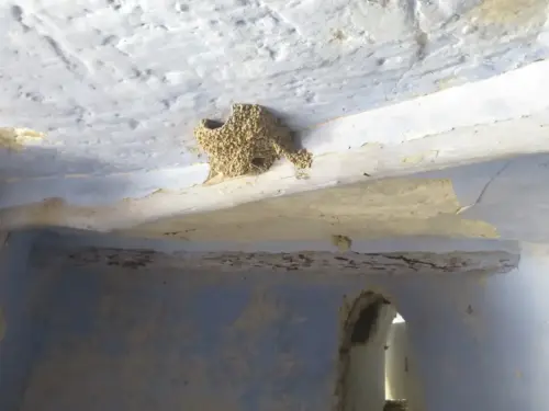 Casa-cueva-Las-MinasHellin47