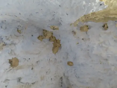 Casa-cueva-Las-MinasHellin59