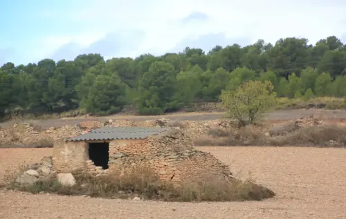 Chozos-Chinchilla-Pinilla