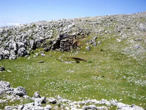 Chozos-Villaverde-de-Guadalimar-El-Cambron2