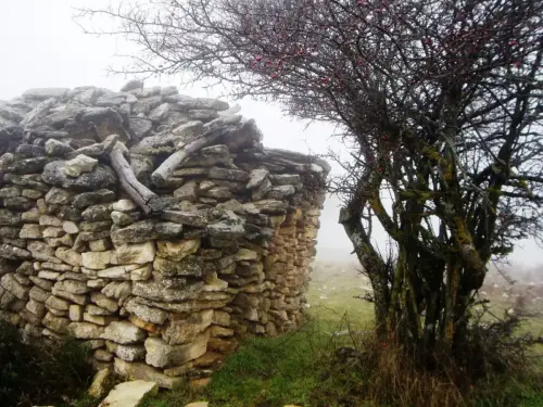 Chozos-Yeste-Mentiras3