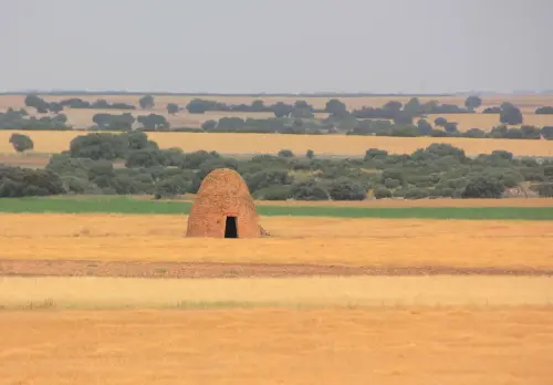 Cucos-Casas-de-Juan-Nunez3