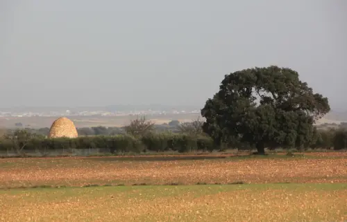 Cucos-Casas-de-Juan-Nunez4