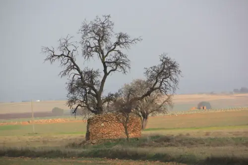 Cucos-Casas-de-Juan-Nunez5