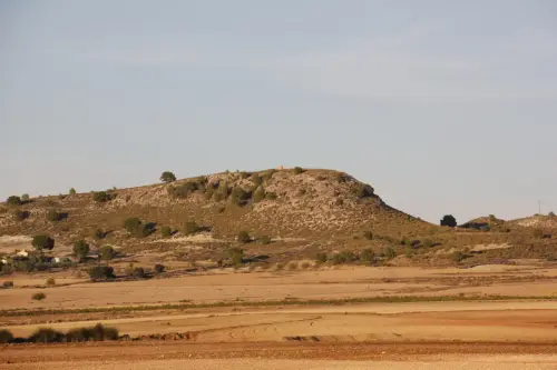 Cucos-Chinchilla-Casablanca-de-los-Rioteros