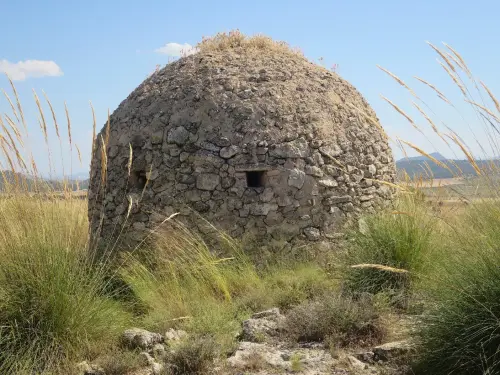 Cucos-Chinchilla-Casablanca-de-los-Rioteros2
