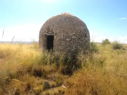 Cucos-Chinchilla-Casablanca-de-los-Rioteros3