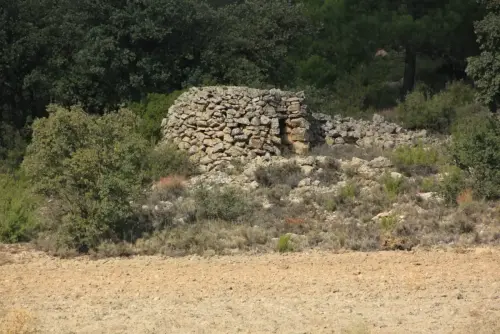 Cucos-El-Sahuco-Penas-San-Pedro