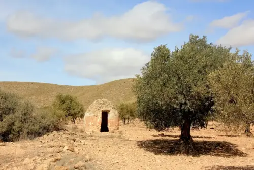 Cucos-Hellin-Casalto