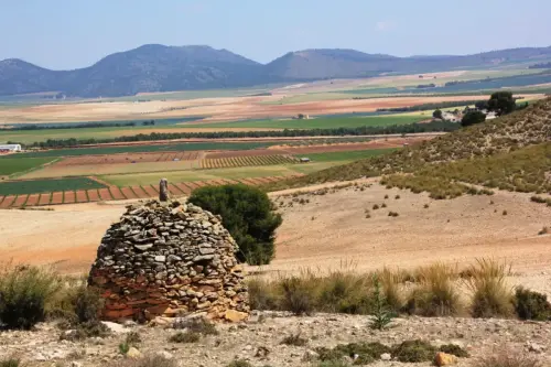 Cucos-Hellin-Rambla-del-Rincon3