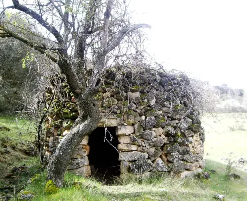 Cucos-Masegoso-El-Arquillo