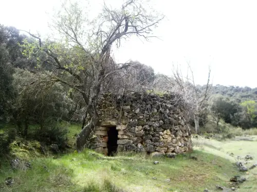 Cucos-MasegosoEl-Arquillo2