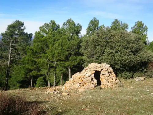 Cucos-Penascosa-Las-Coronillas