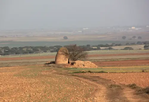 Cucos-Villavaliente4