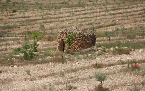 Cucos-Yeste-Fuente-Higuera2