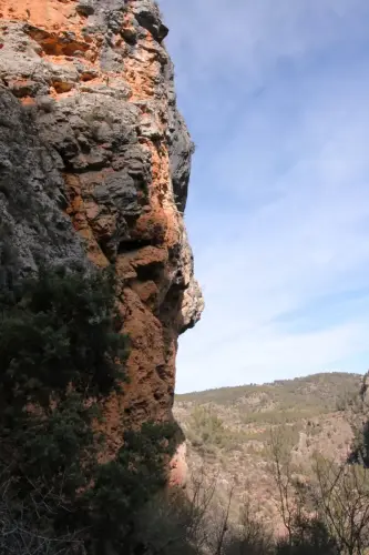 Colmenas10-Estacas-para-subir-a-las-colmenas-Ayna