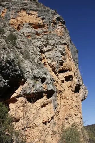 Colmenas12-Estacas-para-subir-a-las-colmenas3-Ayna