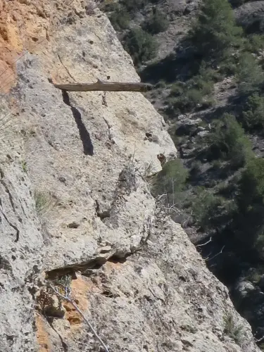 Colmenas14-Estacas-para-subir-a-las-colmenas4-Ayna