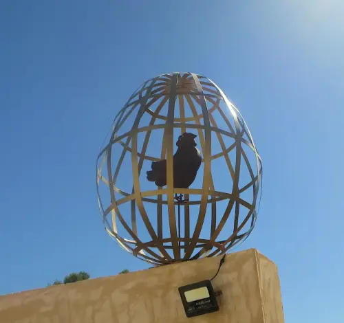 Gallinas-ecologicas10