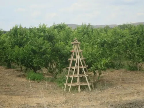 Cacharros-madera-Perigallo