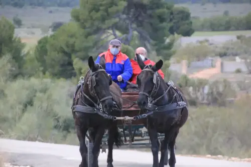 Carros-Elche-de-la-Sierra