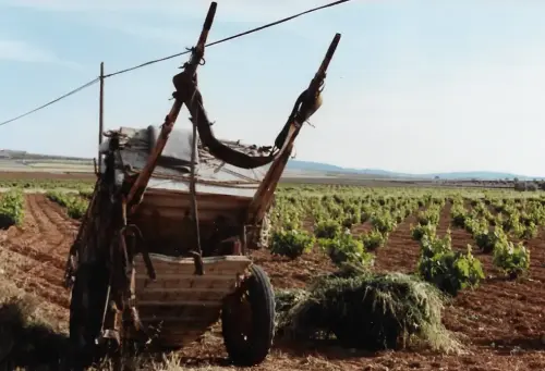 Carros-Nava-de-Arriba2