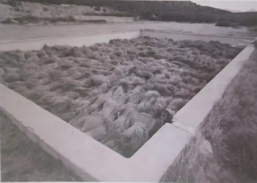 Esparto-Balsa-para-cocer