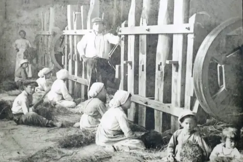 Esparto-Bateria-de-mazos-para-picar-esparto2