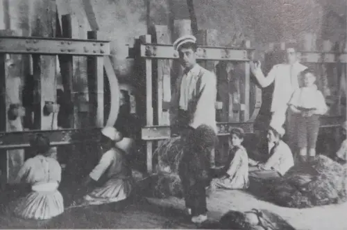 Esparto-Bateria-de-mazos-para-picar-esparto3