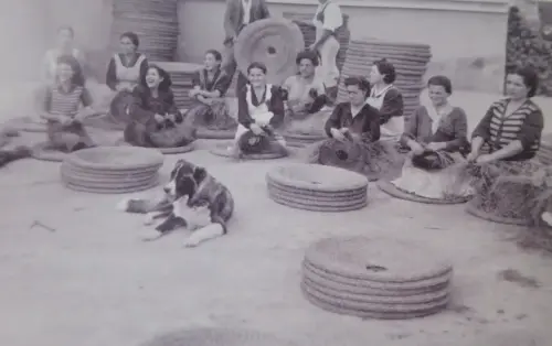 Esparto-Fabrica-de-cofines