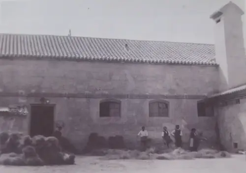 Esparto-Fabrica-de-picar