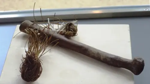 Esparto-Palo-para-atar-gabillas3