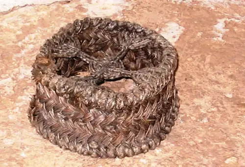 Esparto-Para-las-ollas