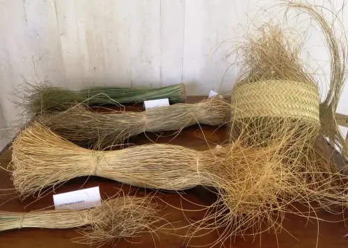 Esparto-Tipos