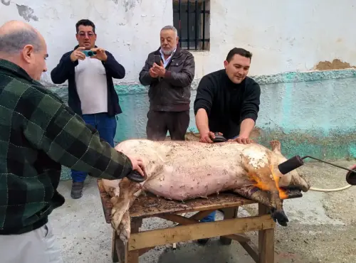 Matanza - Paterna del Madera